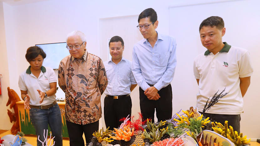 Sisters’ Island Park Public Gallery opens