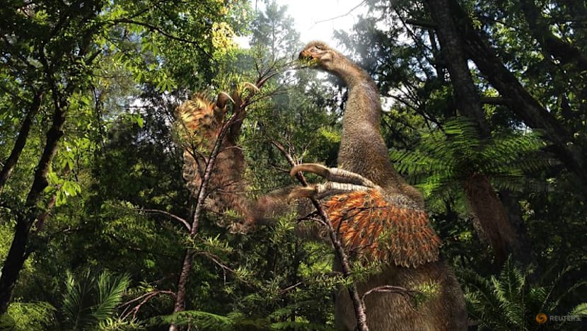 'Exquisite' fossil of one of the smallest dinosaurs found in Argentina