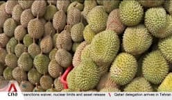 Weather conditions over coming weeks could affect quality, supply of durians 