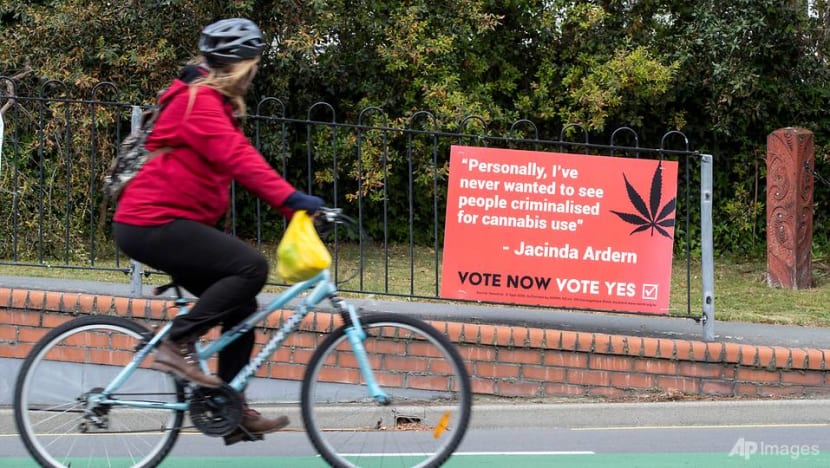 New Zealand to vote on legalising marijuana and euthanasia
