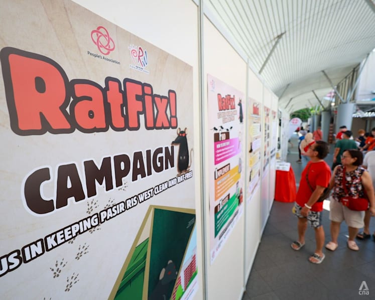 Pasir Ris West launches multi-agency campaign to tackle rat problem