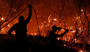Wildfires kill three across southern Europe, force thousands to evacuate