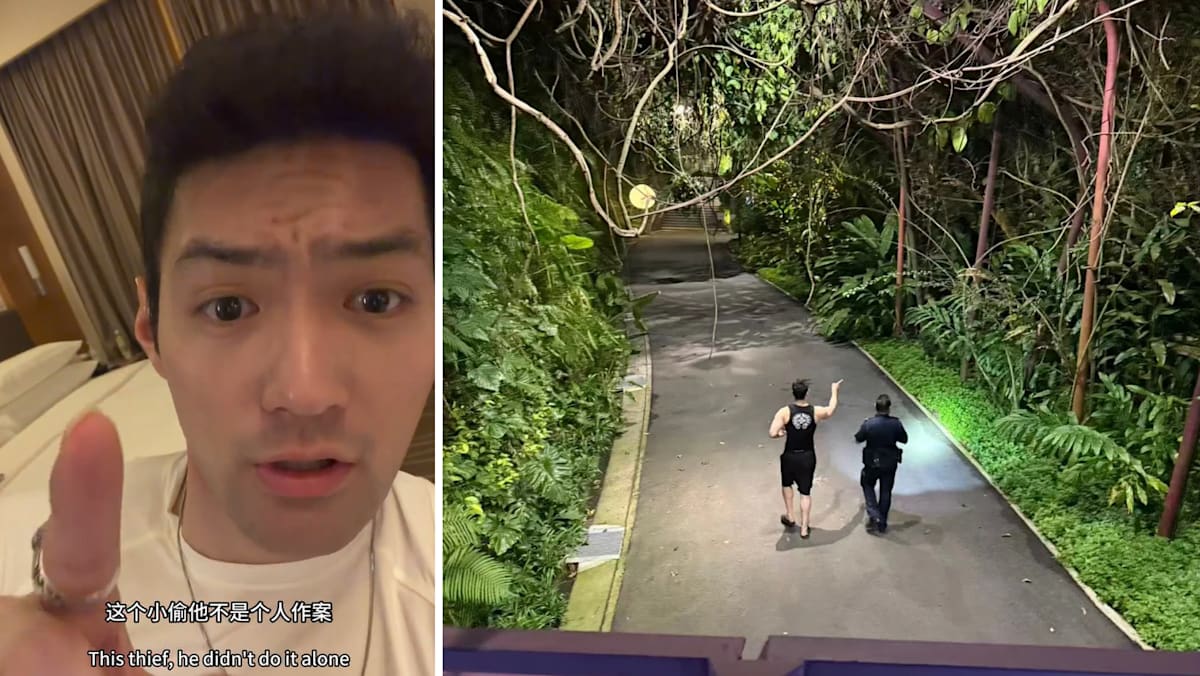 Tourist recovers stolen Louis Vuitton bag after chase at Gardens by the Bay