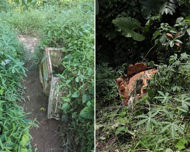 Miscommunication, lapses in coordination between agencies led to year-long delay in removing fridge from Clementi Forest: Sim Ann