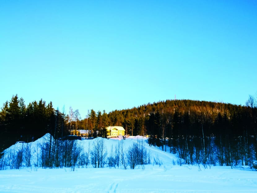 Lapland and the Northern Lights