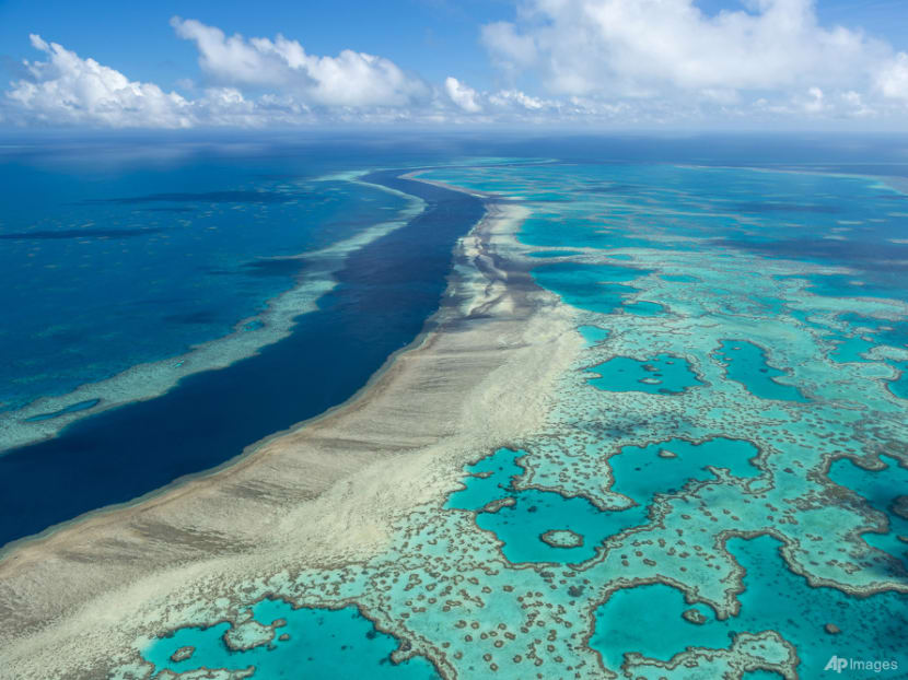 Australia pledges US$704 million to save Great Barrier Reef
