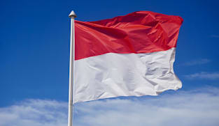 Suspected World War II ordnance explodes in Indonesia, five dead