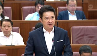 Henry Kwek on Veterinary Practice Bill