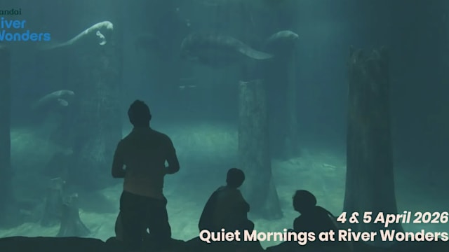 河川生态园来临周末提早开放 举办“静谧早晨”活动