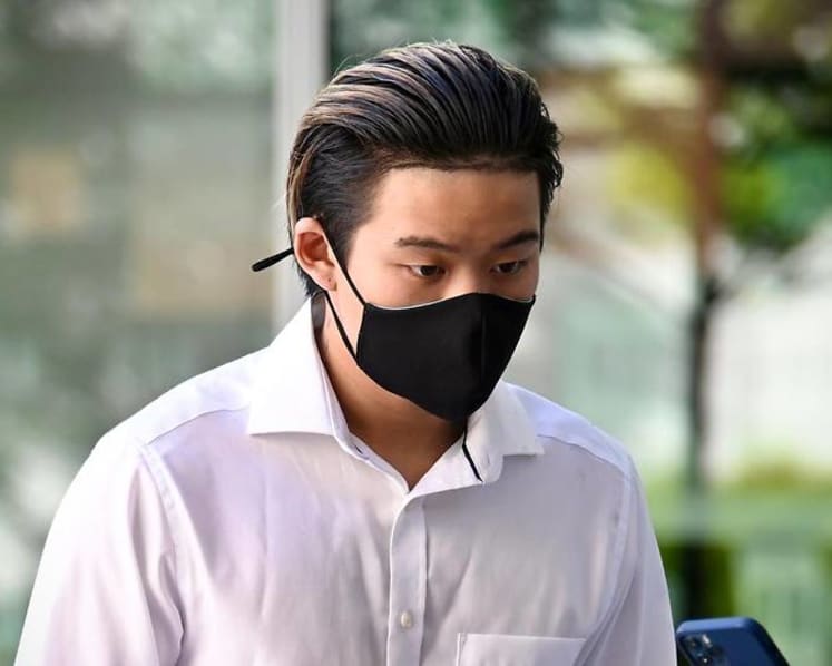 Teen gets reformative training for crimes including rhino pen trespass and frog killing