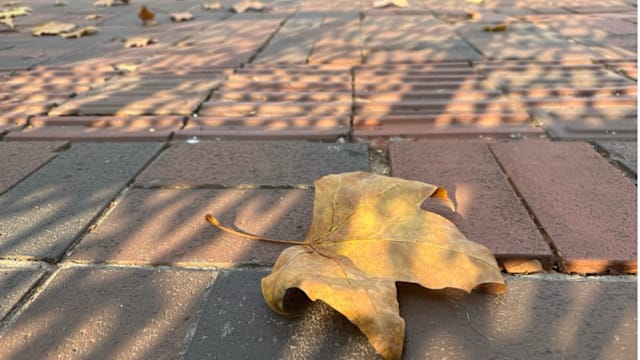 【城市呼吸｜卓明】是结束。是开启的动力。