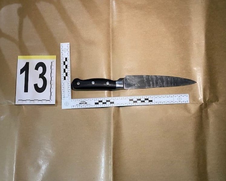 Police trained to fire at centre of the body to stop threat of serious hurt or death: Shanmugam