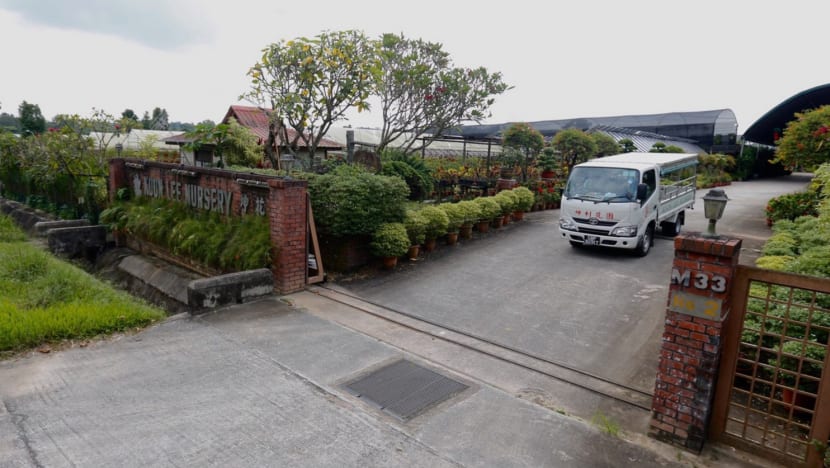 Kranji farmers optimistic about alternative routes to countryside