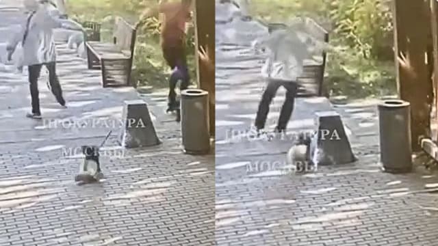 轮滑男子缠上遛狗绳 88岁莫斯科妇女被拖拽致死