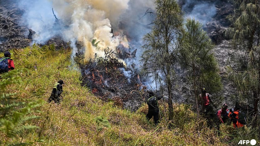 Indonesia closes all access to Mount Bromo as wildfire expands