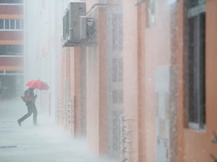 In a weather update on Friday, the Meteorological Service Singapore said that more showers are forecast over the island and the surrounding vicinity in the coming fortnight.