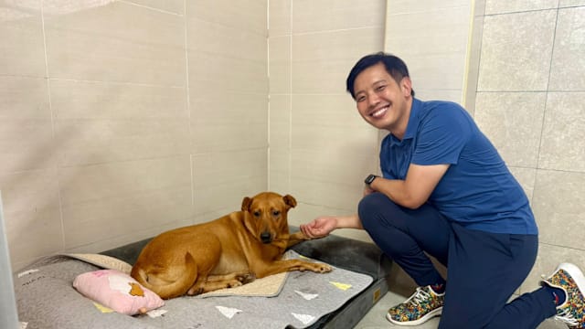 当局同动物福利团体加强合作 推动相关法案和计划