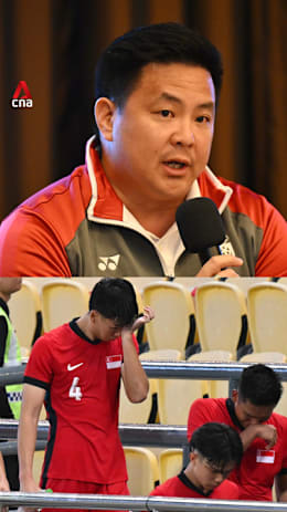  FAS needs to look at attitude of Young Lions says SNOC sec-gen Mark Chay