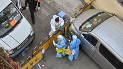Related article image