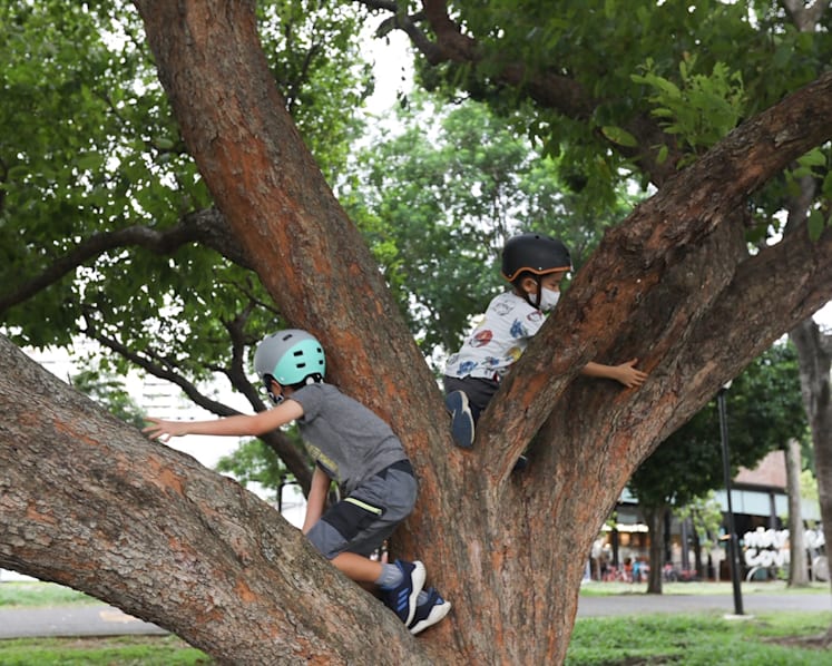 How to help children develop social-emotional intelligence and resilience