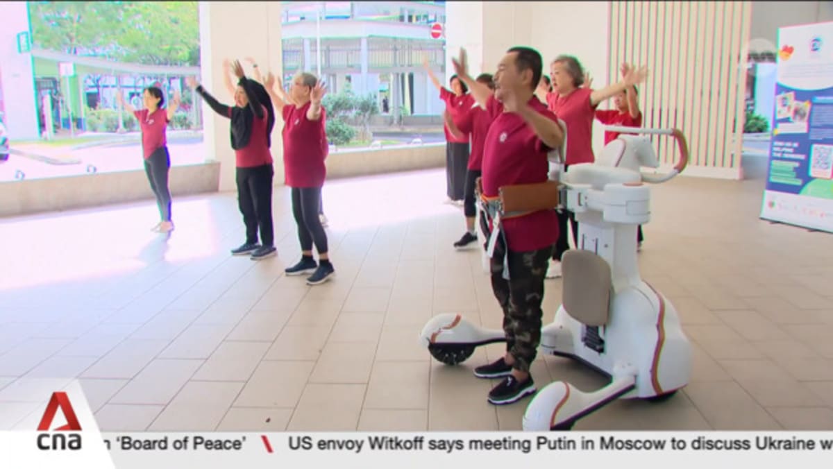 Singapore develops world's first robotic chaperone to support seniors