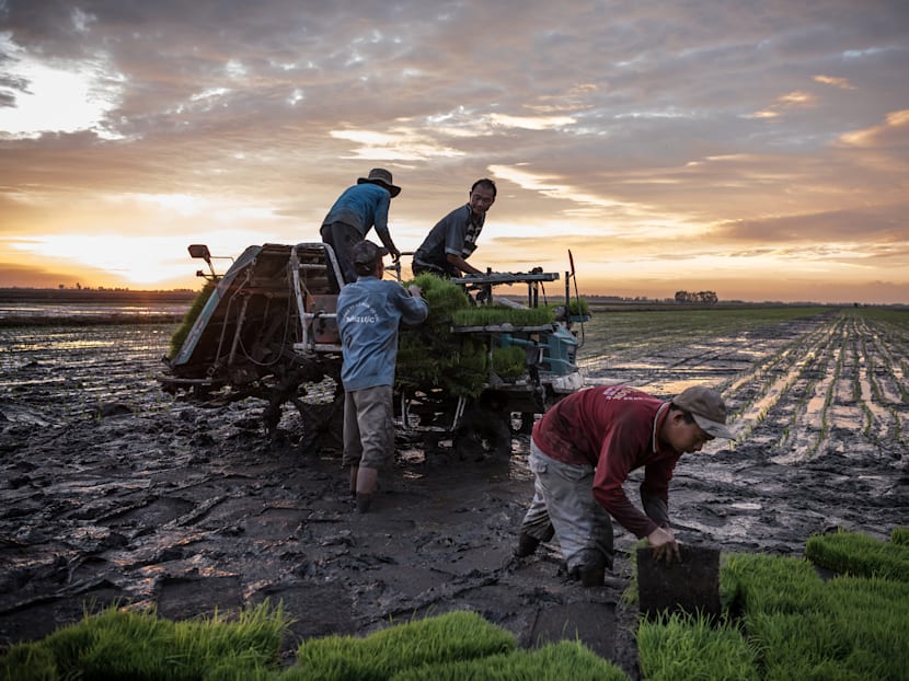 Dams and climate change are killing the Mekong River