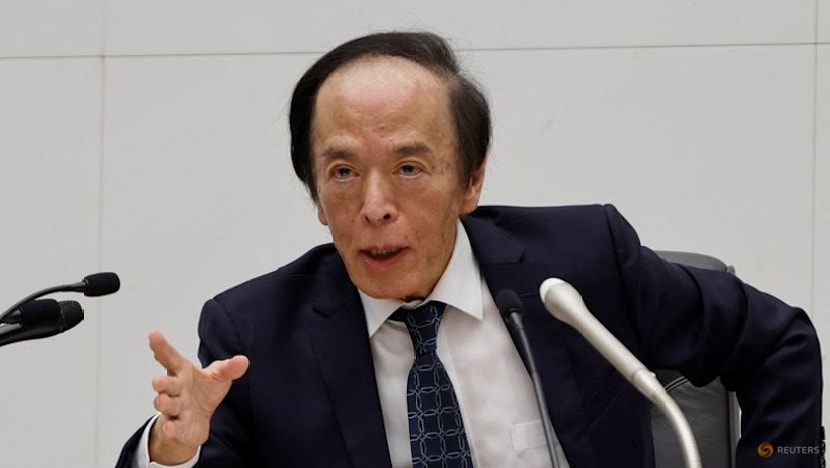 BOJ chief sees progress in hitting price goal, signals further hikes
