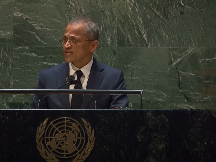 Small states must 'send a clear signal' against Russian invasion of Ukraine, says Singapore's UN representative