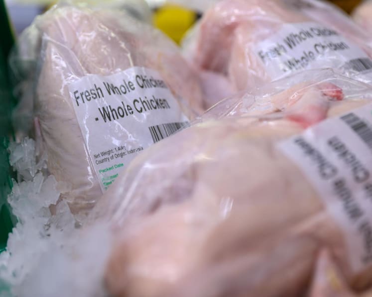 Singapore approves live chicken imports from Indonesian farm; first shipment arrives