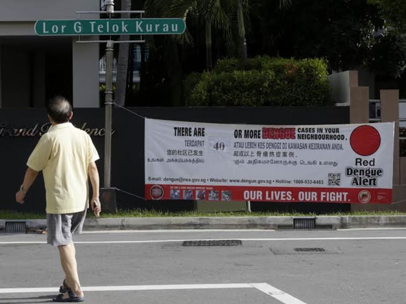 More than 3,600 dengue cases have been reported here since January, with two deaths so far. Photo: Wee Teck Hian More than 3,600 dengue cases have been reported here since January, with two deaths so far. Photo: Wee Teck Hian