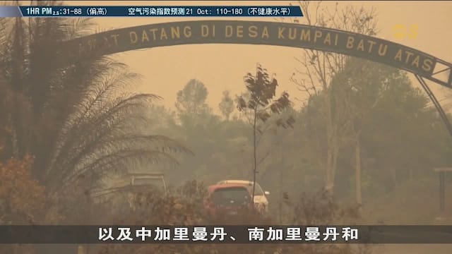 不满政府未能有效控制林火 印尼多个城市爆发示威