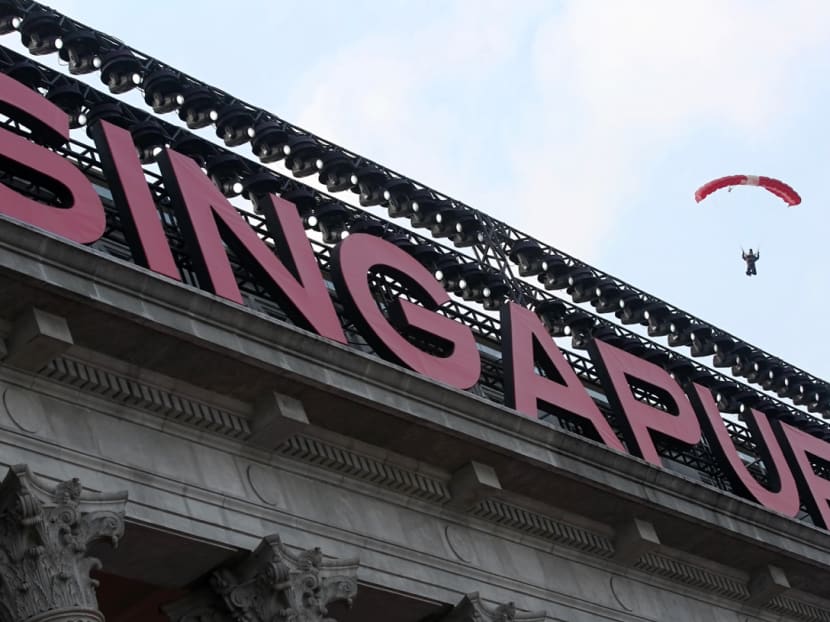 The Singapore Armed Forces parachute team — better known as the Red Lions — will be making special appearances in the heartlands to mark this year's National Day Parade.