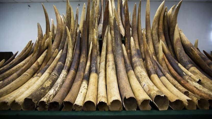 Ivory trafficking: S’pore a transit hub but ‘actively working’ to tackle problem, says Cites