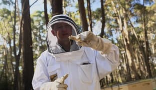 Talking Point 2025/2026 - Honey: What Are You Really Buying?