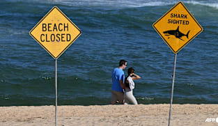 'Large shark' kills man off Sydney beach