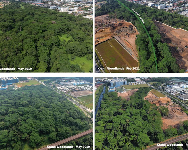 Illegal Kranji land clearing: JTC deputy director, senior project manager among 3 charged with multiple offences