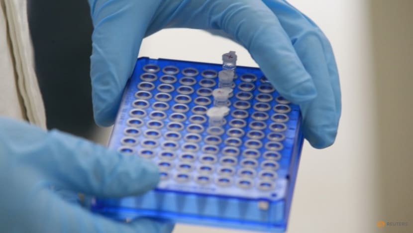 New Zealand to loosen gene editing regulation, make commercialization easier New Zealand to loosen gene editing regulation, make commercialization easier