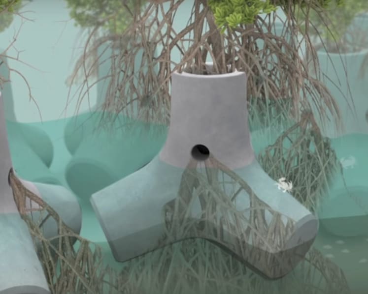 Fighting rising sea levels: 5 approaches from around the world