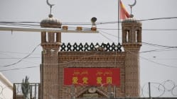 Related article image