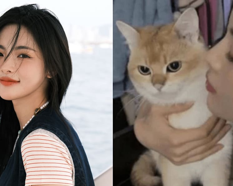 Chinese actress Yang Chaoyue accused of abandoning her pets after she casually said one of her cats has gone 'gallivanting' and has no idea where he is