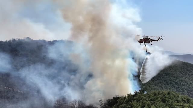阿根廷灭火直升机训练时坠毁 机上七人罹难