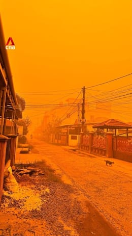 Orange skies as PM2.5 exceeds 3,000 in Central Kalimantan on Oct 14