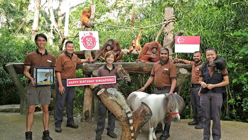 Special SG50 performances at Jurong Bird Park and Singapore Zoo