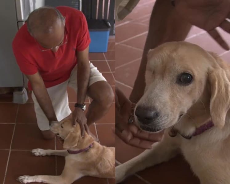 Shanmugam adopts one-eyed rescue dog, names her Princess