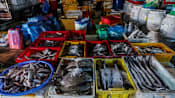 Vietnam asks United States to reconsider seafood export ban 