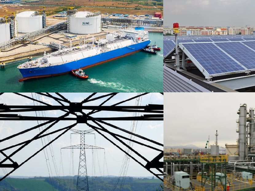 Commentary: That low-carbon future for Singapore isn&rsquo;t so far-fetched