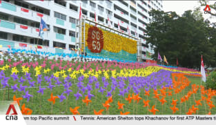 Singaporeans get creative in making community artworks for SG60