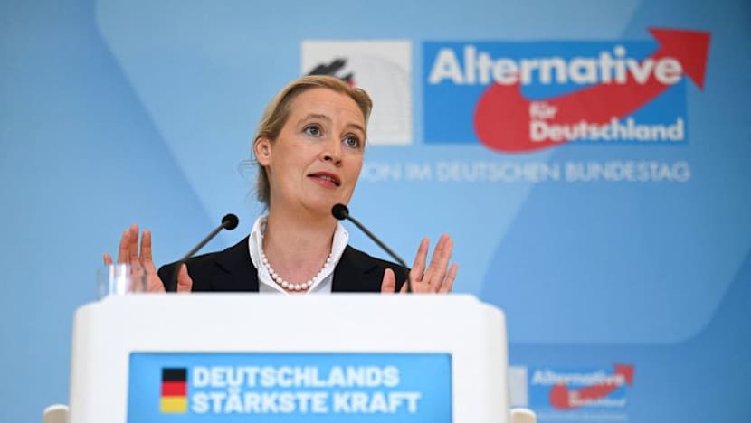 Germany's far-right AfD investigates publication of emails stolen in cyberattack