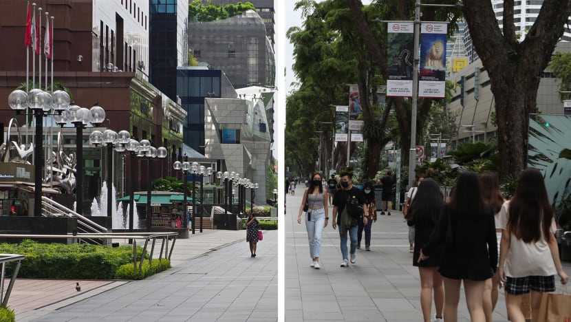 In pictures: One year after circuit breaker began In pictures: One year after circuit breaker began