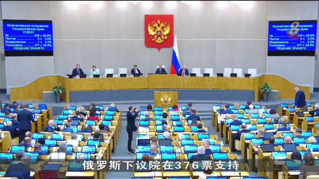 俄罗斯议会通过禁止外国人找代理孕母法案